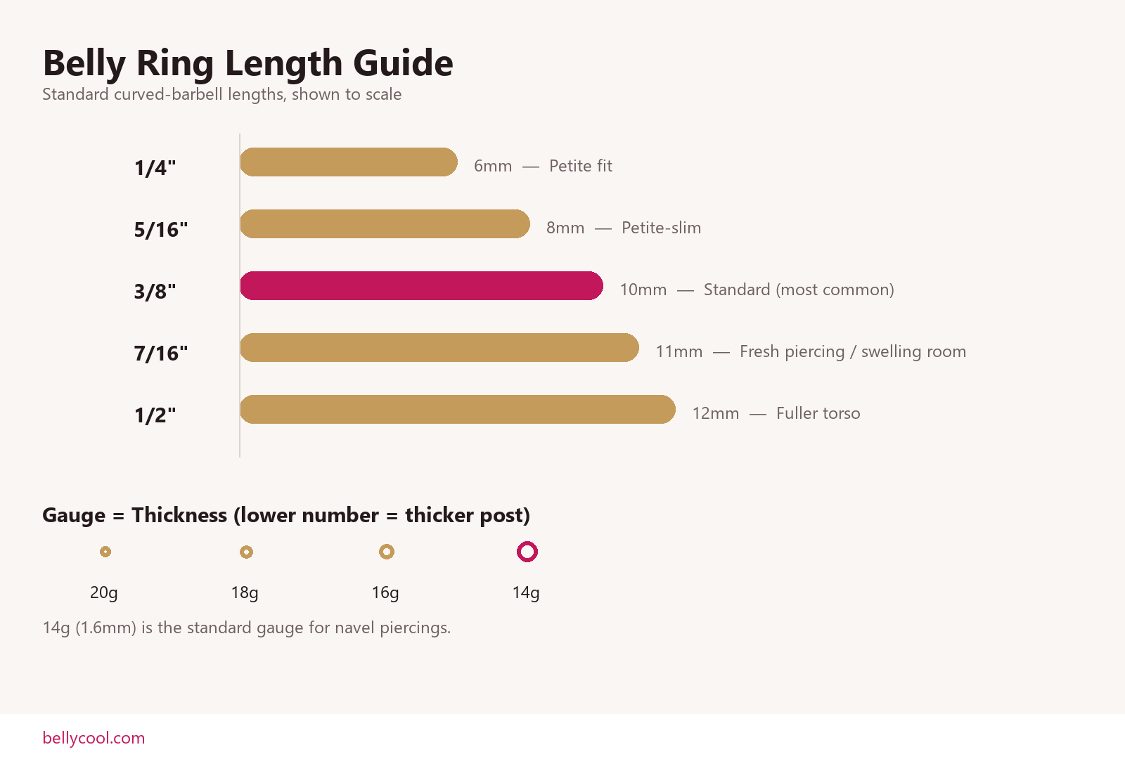 Belly ring length and gauge comparison chart from 1/4 inch to 1/2 inch